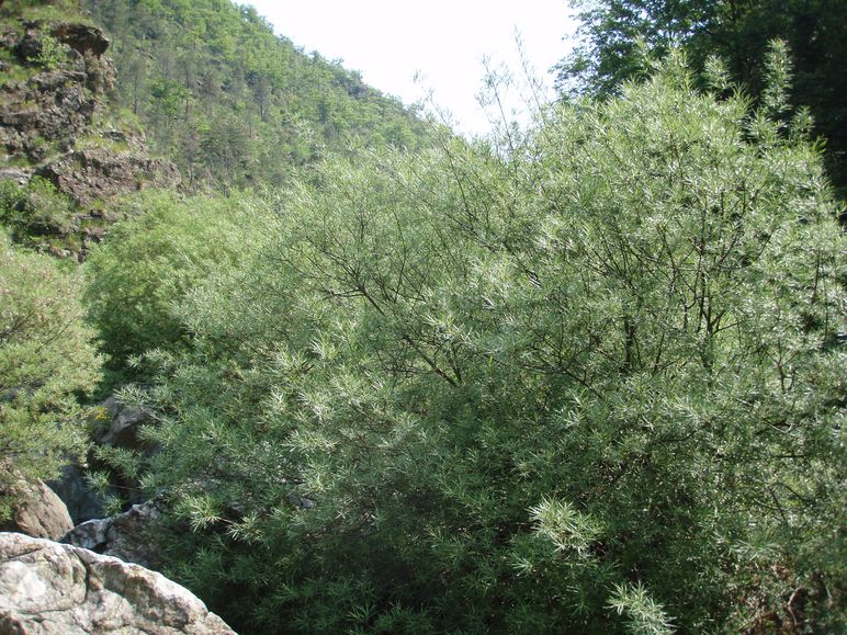 Escursione al laghetto del Manzù